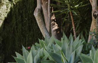 Villa Desteny - Foto 16