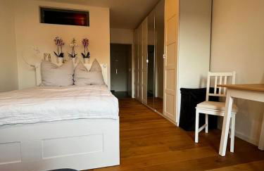 NO-Television One bedroom apartment - Foto 1