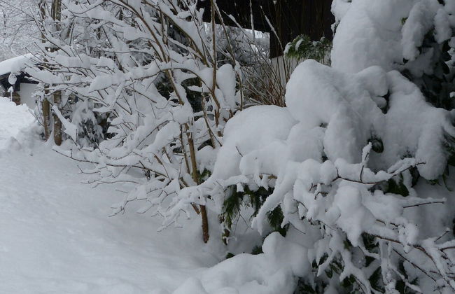 Wohnung in Zenting mit Garten - Foto 18