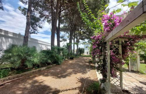 Agriturismo La Stornara - Foto 27