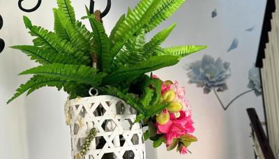 Fiori e Farfalle - Casa Vacanze - Foto 5