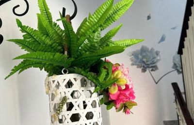 Fiori e Farfalle - Casa Vacanze - Foto 5