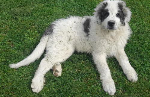 Agriturismo Riparossa - Foto 11