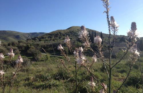 Le Case Di S. Andrea - Foto 54