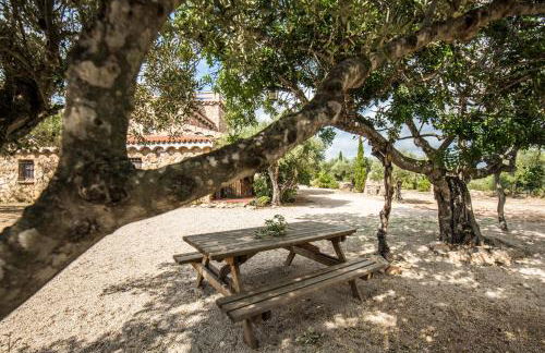 Finca Jabali - Foto 36