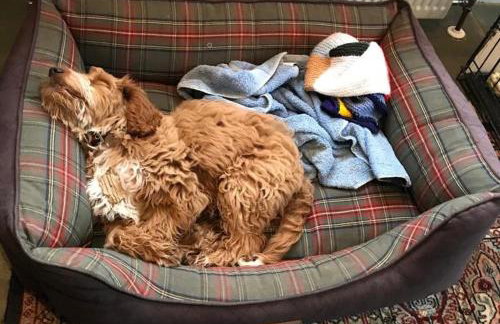 Corner Farm Barn - Foto 19