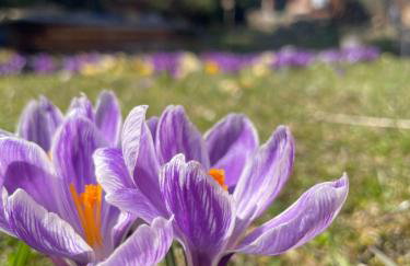 Fuchs & Has` - Foto 42