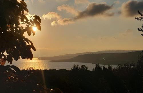 Ktima Apostolou - Photo 7