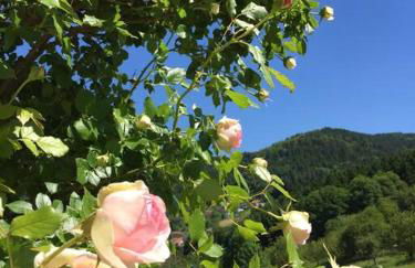 Dachstudio in Traumlage mit spektakulärem Ausblick - Foto 39