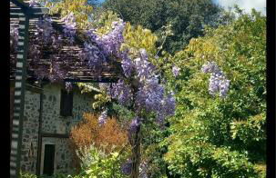 Locanda Rosati - Foto 29