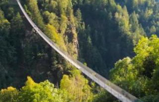 Appartamento Stella - Foto 49