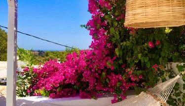 The Summer Pink House - Foto 3