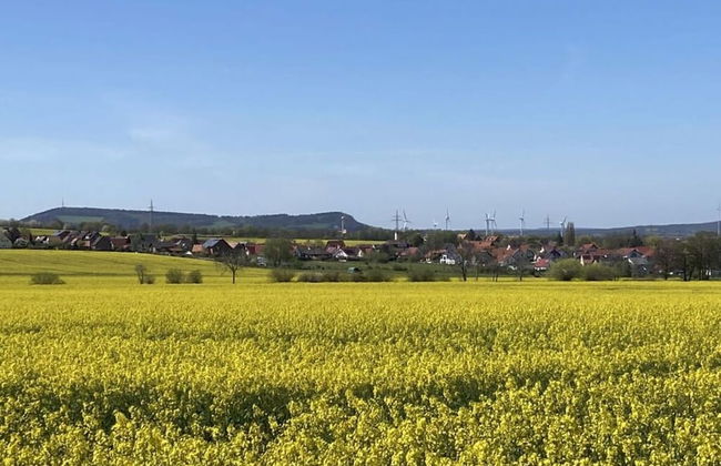 Summit Happiness at the Purple Beech - Foto 15