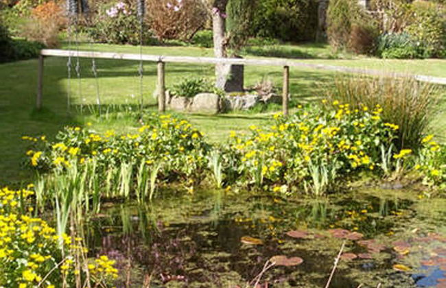 Cwm Irfon Lodge Cottages - Photo 31