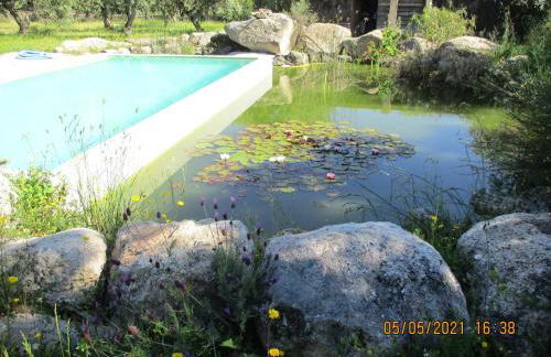 Monte das Mariolas - Foto 18