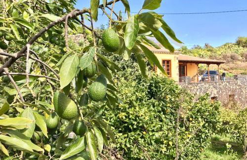 RUSTIC HOUSE LA MONTAÑA - Foto 7