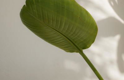 Midi Pool Villa & SPA - Foto 78