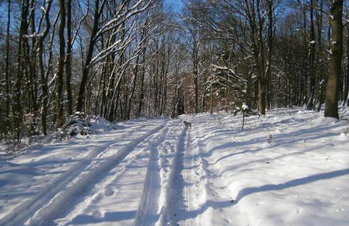 Ferienwohnungen Schimsheimer Rhode - Foto 7