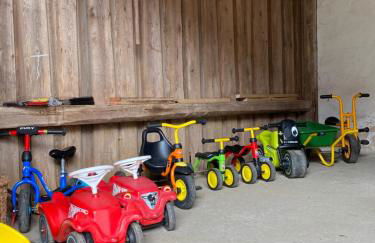 Hanauerhof - Foto 18