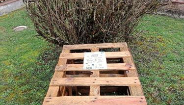 Chalet Rivage Home - Foto 5