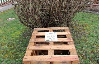 Chalet Rivage Home - Foto 5