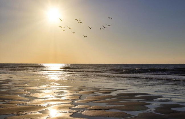 Luxury Lodge nr Beach - Photo 38