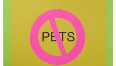 Bird House - Photo 2