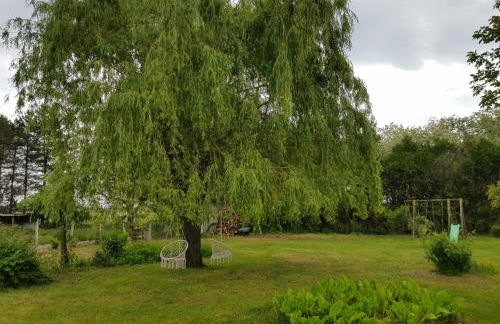 Gîte Glycines & Nature, proche Beauval et Châteaux - Foto 34