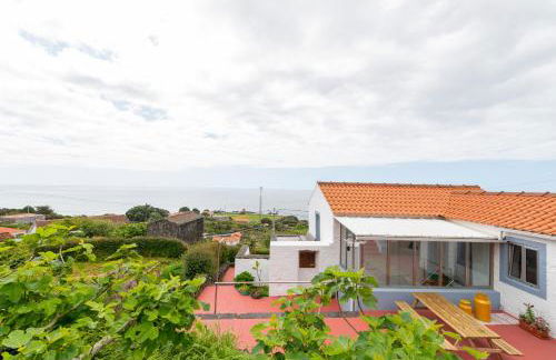 Lobo do Mar - Photo 24