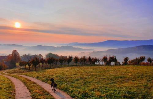 Dom na Kamieńcu - Photo 22