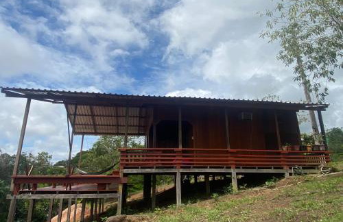 Casa flor da floresta - Foto 1