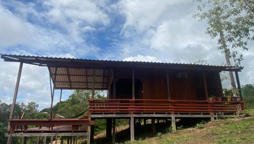 Casa flor da floresta - Foto 1