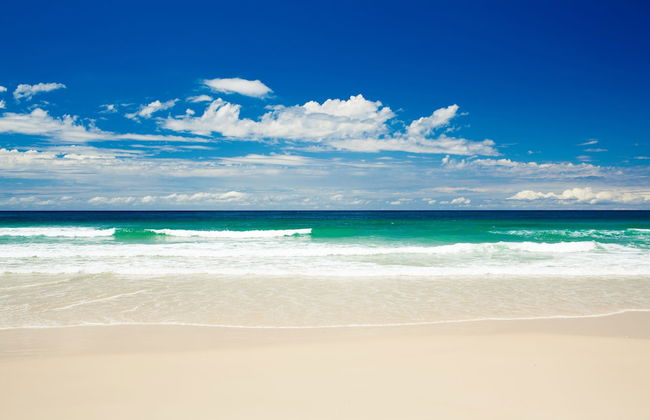 Chidori Court - Foto 46