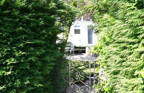 Swallows Return - Foto 20