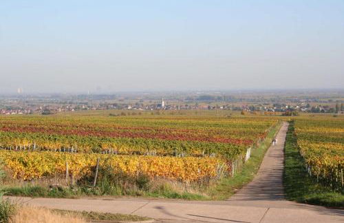 Ferienwohnung Spatzennest in Edesheim - Foto 11