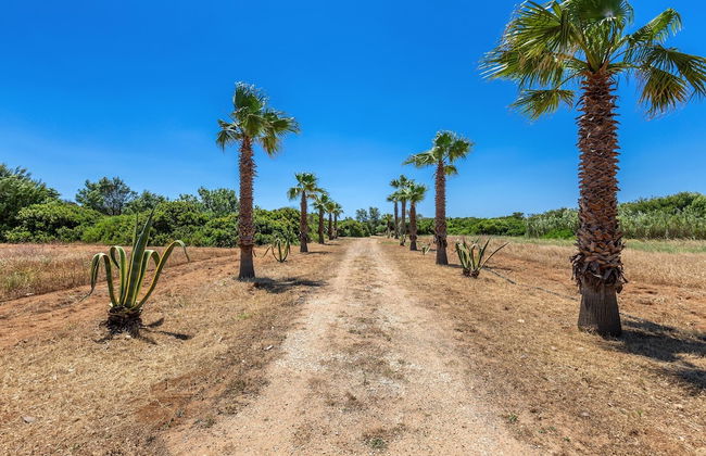 2444 Villa Mirante by Perle di Puglia - Foto 29