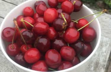 Ferienhaus Königskirsche - Foto 40