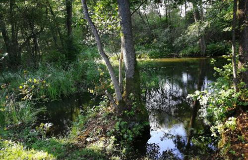 Mazurska Knieja - Foto 41