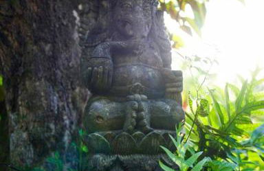 Jasmine Suite on Lush farm in Haiku, Maui jungle - Photo 54