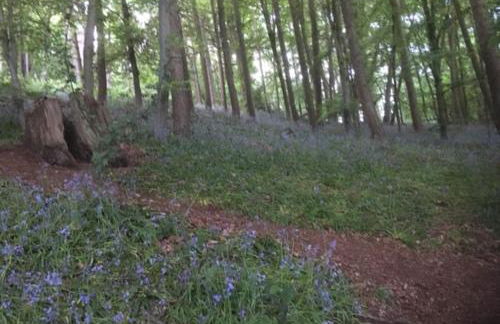 Charming Spacious Apartment, Kidderminster - Foto 24