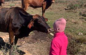 Cabana Recanto dos Aparados - Foto 20