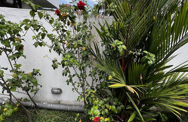 Villa Hirunika - Photo 17