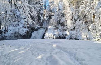 Landhaus Eibelesee - Foto 36