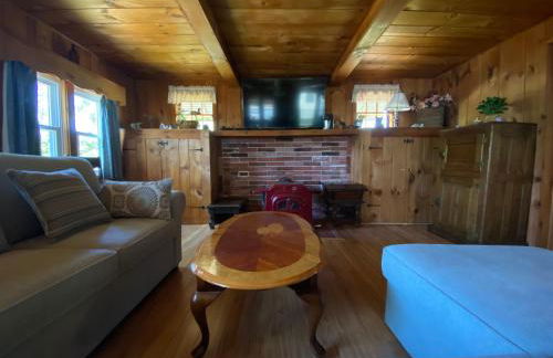 Adirondack Waterfront Cabin Upper Hudson Tributary - Foto 41