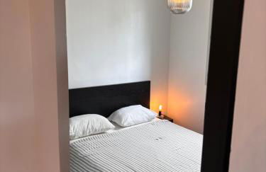 Charmant appartement Toulouse - Foto 13