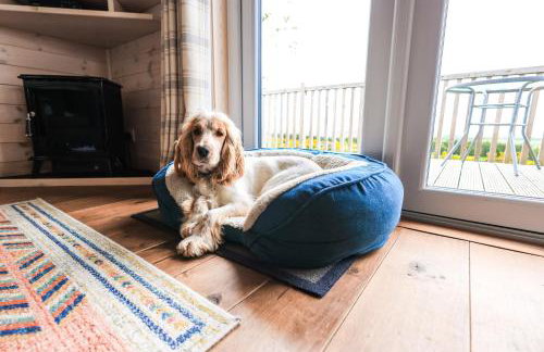 Burgie Woodland Lodges - Photo 43