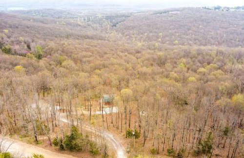 Redwoods Rising - Sweeping Views-Hot Tub - Foto 39