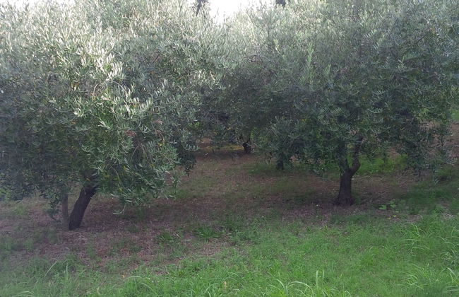 Soncne Terase - Foto 61