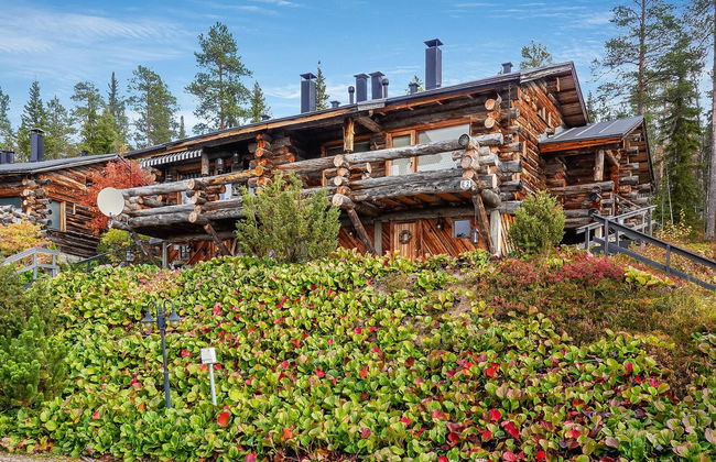 Sallanhelmi e2 - Foto 19