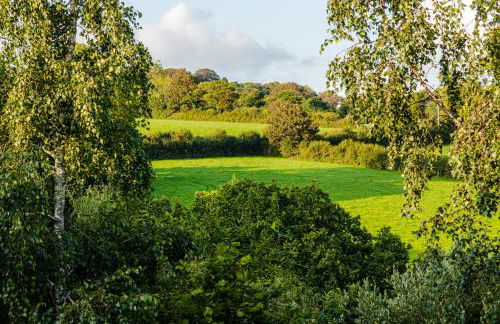 Cornwall Countryside Lodges "Reserve Worldwide" Honicombe - Photo 53